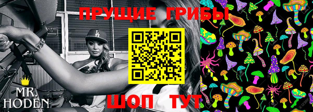 Галлюциногенные грибы Psilocybe  Вход с VPN  Трёхгорный  Псилоцибиновые грибы Cubensis 